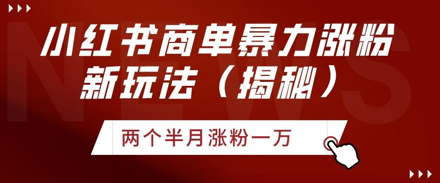 小红书商单暴力涨粉新玩法两个半月涨粉一万（揭秘）-爱找项目网
