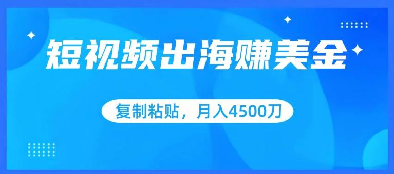 短视频出海赚美金，复制粘贴批量操作，小白轻松掌握，月入4500美刀【揭秘】-爱找项目网