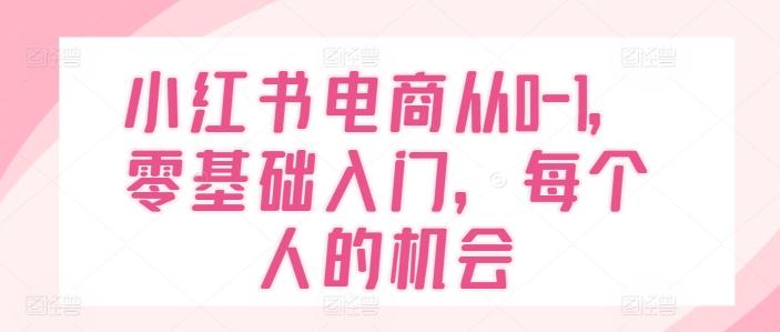 小红书电商从0-1，零基础入门，每个人的机会-爱找项目网