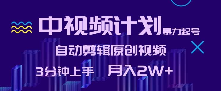 中视频计划暴力起号，自动剪辑原创视频，3分钟上手，月入2W+【揭秘】-爱找项目网