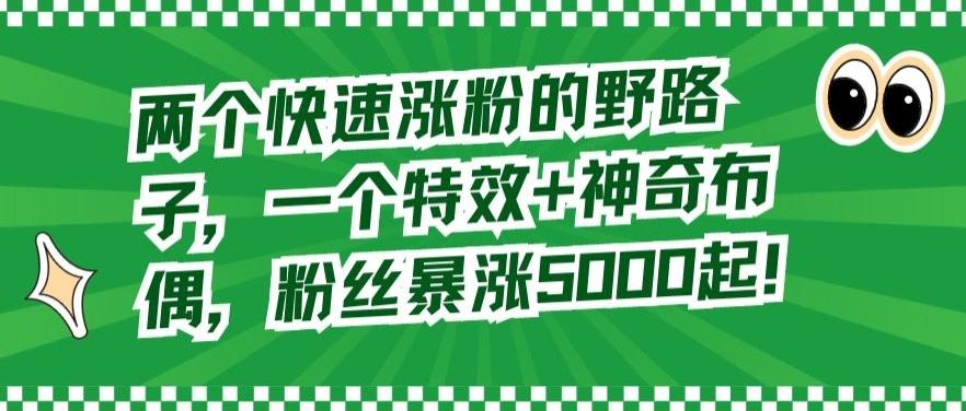 两个快速涨粉的野路子，一个特效+神奇布偶，粉丝暴涨5000起【揭秘】-爱找项目网