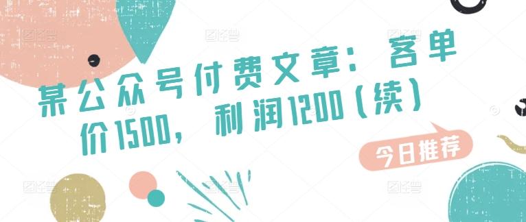 某公众号付费文章：客单价1500，利润1200(续)，市场几乎可以说是空白的-爱找项目网