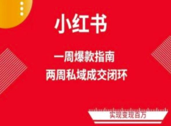 爆款小红书免费流量体系课程(两周变现)，小红书电商教程-爱找项目网