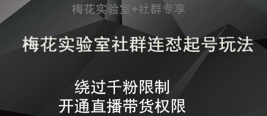 梅花实验室社群连怼起号玩法，视频号绕过千粉限制，开通直播带货权限【揭秘】-爱找项目网