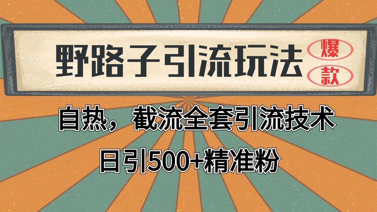 抖音小红书视频号全平台引流打法，全自动引流日引2000+精准客户-爱找项目网