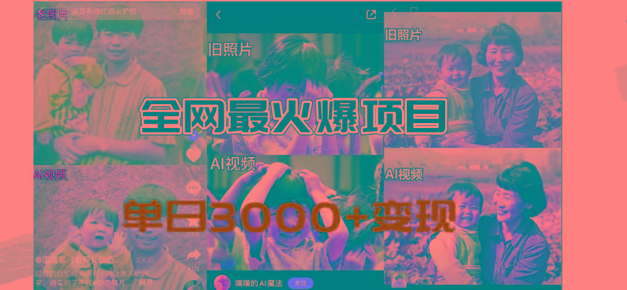 全网爆火的AI让老照片动起来教程，蹭热点日赚3000+，内含免费工具一键…-爱找项目网