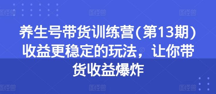 养生号带货训练营(第13期)收益更稳定的玩法，让你带货收益爆炸-爱找项目网