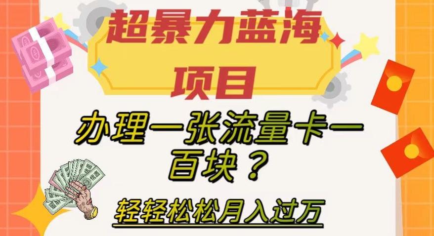 超暴力蓝海项目，办理一张流量卡一百块？轻轻松松月入过万，保姆级教程【揭秘】-爱找项目网