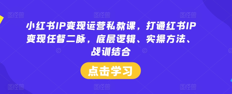 小红书IP变现运营私教课，打通红书IP变现任督二脉，底层逻辑、实操方法、战训结合-爱找项目网