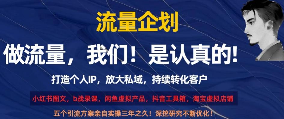 流量企划，打造个人IP，放大私域，持续转化客户【揭秘】-爱找项目网