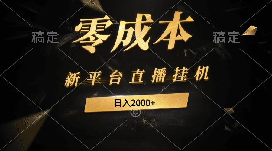 (9841期)新平台直播挂机最新玩法，0成本，不违规，日入2000+-爱找项目网