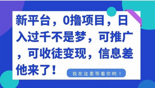 不要再花冤枉钱了，0撸项目，每天坚持，稳定1000+-爱找项目网