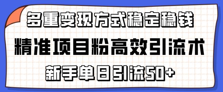 精准项目粉高效引流术，新手单日引流50+，多重变现方式稳定赚钱【揭秘】-爱找项目网