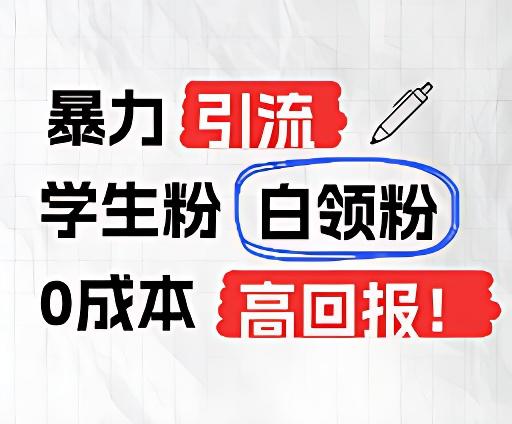 暴力引流学生粉白领粉，吊打以往垃圾玩法，0成本，高回报-爱找项目网