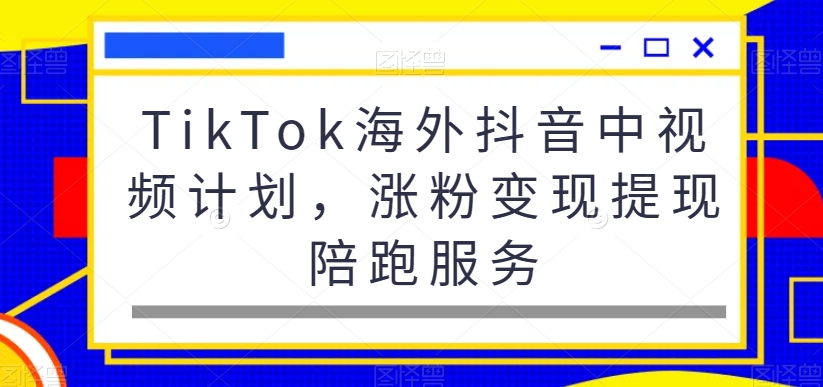 TikTok海外抖音中视频计划，涨粉变现提现陪跑服务-爱找项目网