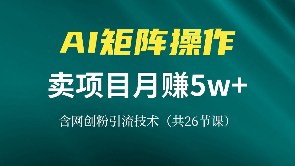 网创IP打造课，借助AI卖项目月赚5万+，含引流技术(共26节课-爱找项目网