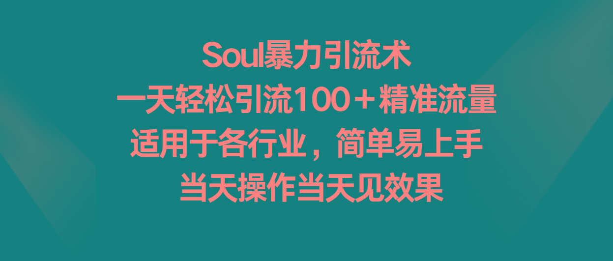 Soul暴力引流术，一天轻松引流100＋精准流量，适用于各行业，简单易上手！-爱找项目网