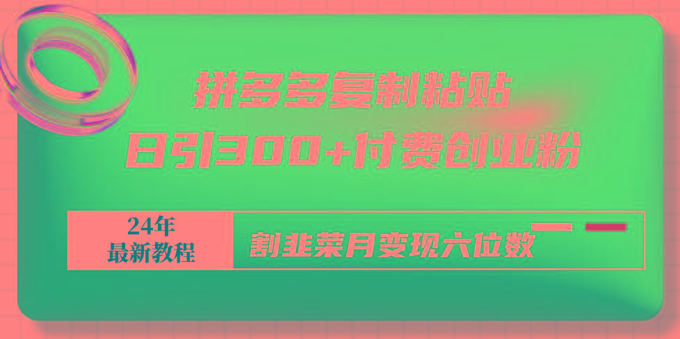 拼多多复制粘贴日引300+付费创业粉，割韭菜月变现六位数最新教程！-爱找项目网