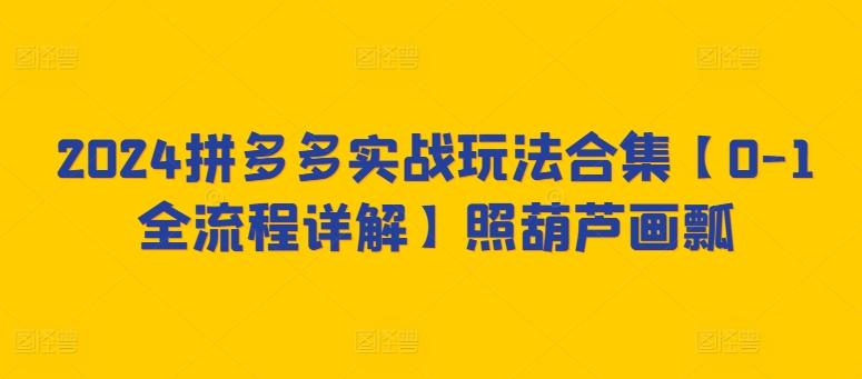 2024拼多多实战玩法合集【0-1全流程详解】照葫芦画瓢-爱找项目网