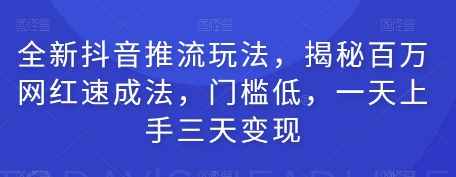 全新抖音推流玩法，揭秘百万网红速成法，门槛低，一天上手三天变现-爱找项目网