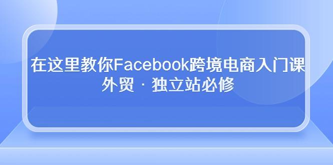 在这里教你Facebook跨境电商入门课，外贸·独立站必修-爱找项目网