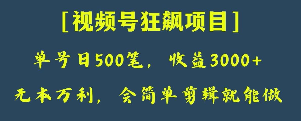 日收款500笔，纯利润3000+，视频号狂飙项目，会简单剪辑就能做【揭秘】-爱找项目网