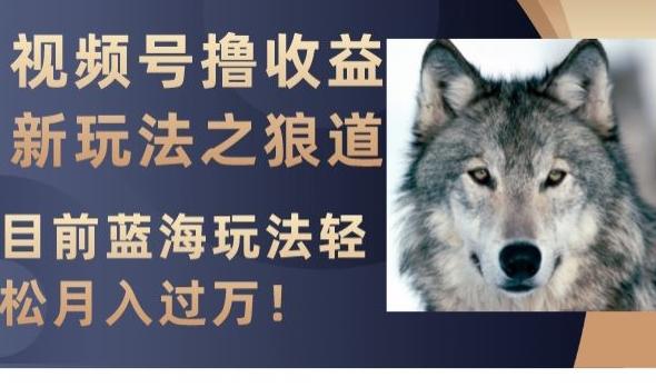 视频号撸收益新玩法之狼道，目前蓝海玩法，轻松月入过万【揭秘】-爱找项目网