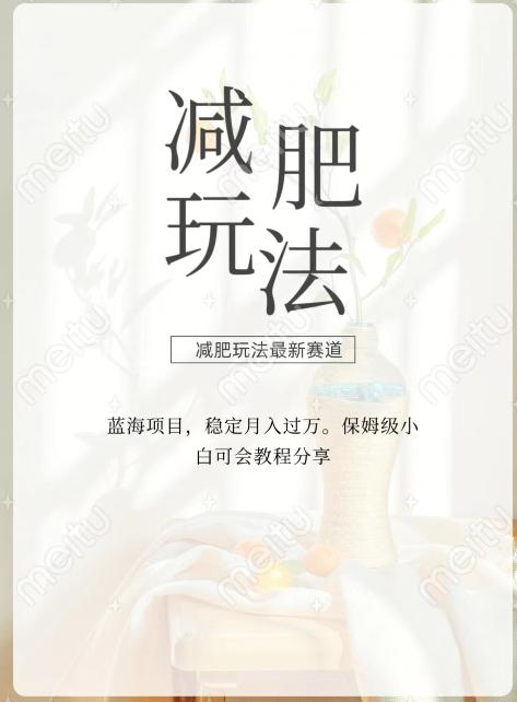 减肥流量主新玩法，轻松月入1W，可矩阵操作收入翻倍-爱找项目网