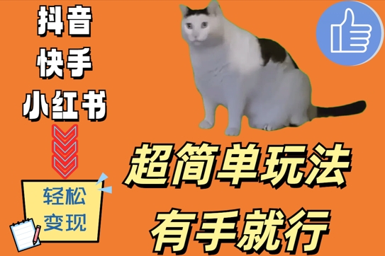 超简单玩法，有手就行，靠猫咪视频日入500+【揭秘】-爱找项目网