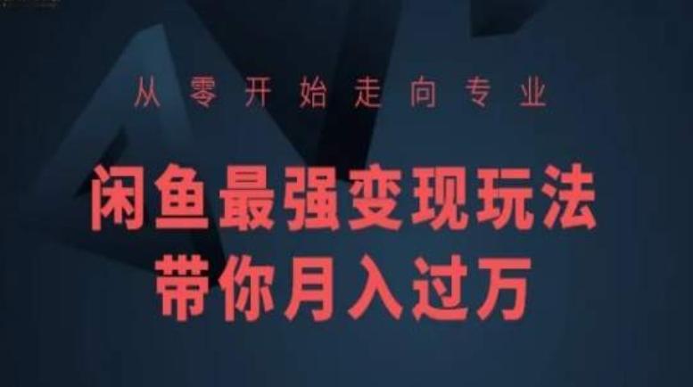 从零开始走向专业，闲鱼最强变现玩法带你月入过万-爱找项目网