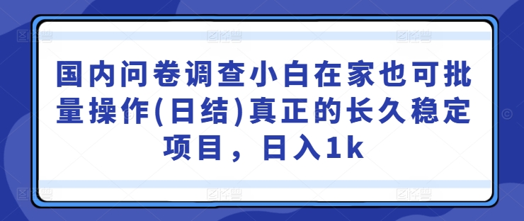 国内问卷调查小白在家也可批量操作(日结)真正的长久稳定项目，日入1k【揭秘】-爱找项目网
