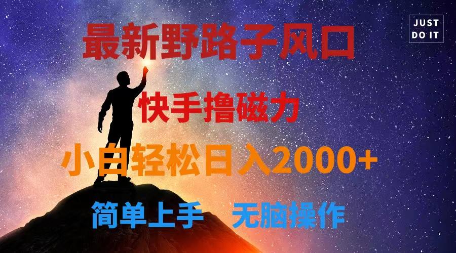 最新风口！快手撸磁力，野路子，小白无脑操作日入2000+-爱找项目网