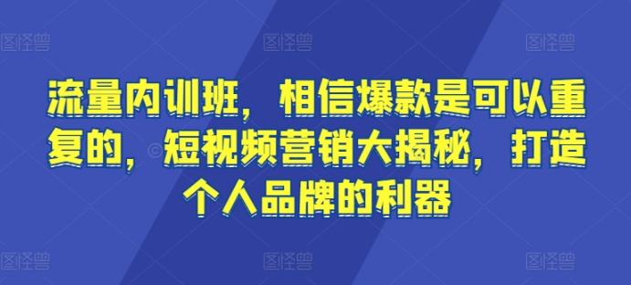 流量内训班，相信爆款是可以重复的，短视频营销大揭秘，打造个人品牌的利器-爱找项目网