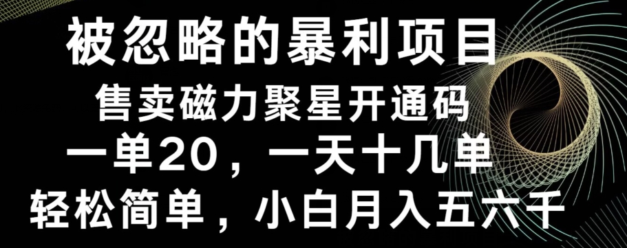 被忽略的暴利项目！售卖磁力聚星开通码，一单20，一天十几单，轻松月入五六千-爱找项目网