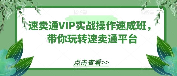 速卖通VIP实战操作速成班，带你玩转速卖通平台-爱找项目网