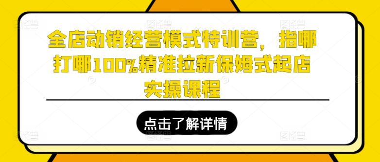 全店动销经营模式特训营，指哪打哪100%精准拉新保姆式起店实操课程-爱找项目网