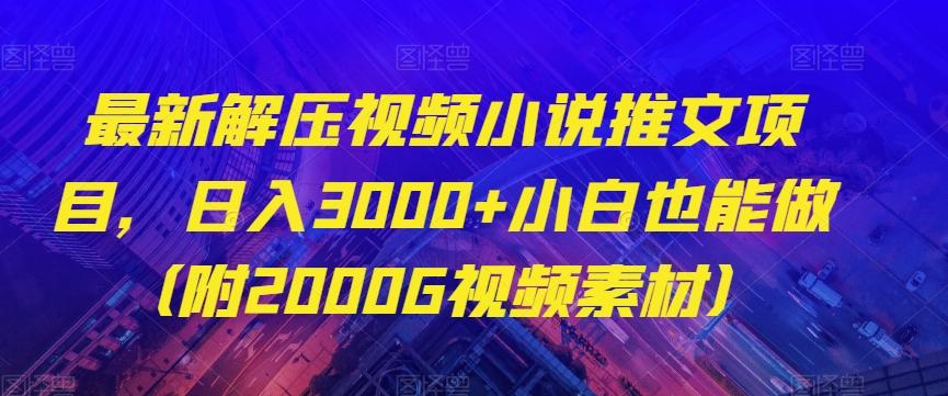 最新解压视频小说推文项目，日入3000+小白也能做（附2000G视频素材）【揭秘】-爱找项目网