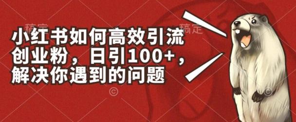 小红书如何高效引流创业粉，日引100+，解决你遇到的问题【揭秘】-爱找项目网