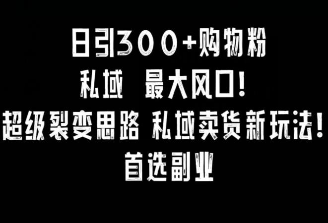 日引300+购物粉，超级裂变思路，私域卖货新玩法，小红书首选副业【揭秘】-爱找项目网