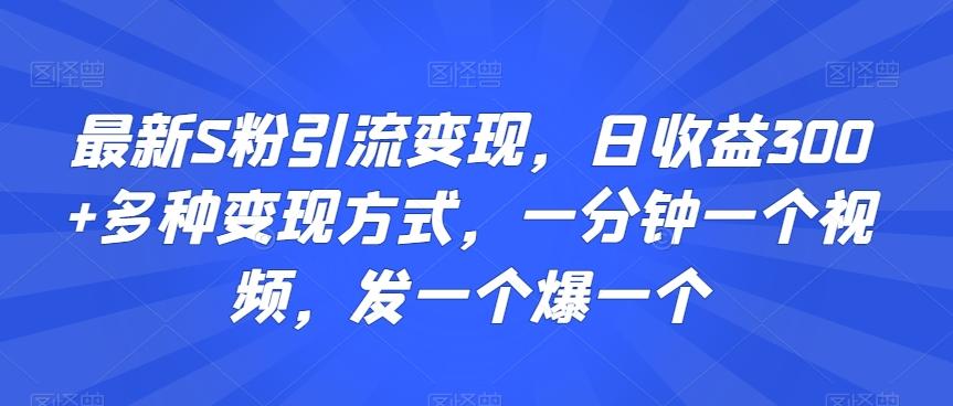 最新S粉引流变现，日收益300+多种变现方式，一分钟一个视频，发一个爆一个【揭秘】-爱找项目网