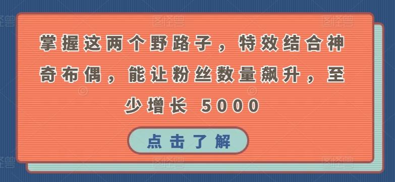 掌握这两个野路子，特效结合神奇布偶，能让粉丝数量飙升，至少增长 5000【揭秘】-爱找项目网
