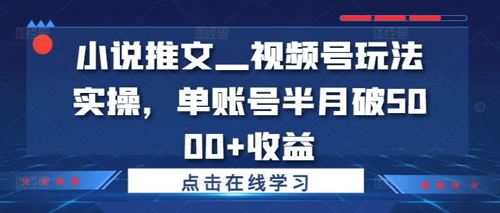 小说推文—视频号玩法实操，单账号半月破5000+收益-爱找项目网