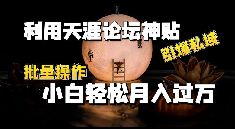 利用天涯论坛神贴，引爆私域，批量操作，小白轻松月入过w【揭秘】-爱找项目网