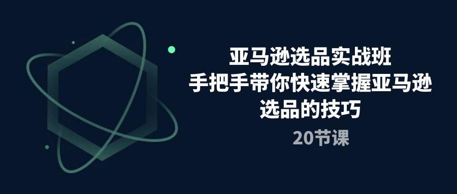 亚马逊选品实战班，手把手带你快速掌握亚马逊选品的技巧(20节课-爱找项目网