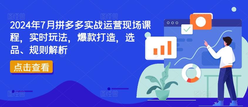 2024年7月拼多多实战运营现场课程，实时玩法，爆款打造，选品、规则解析-爱找项目网