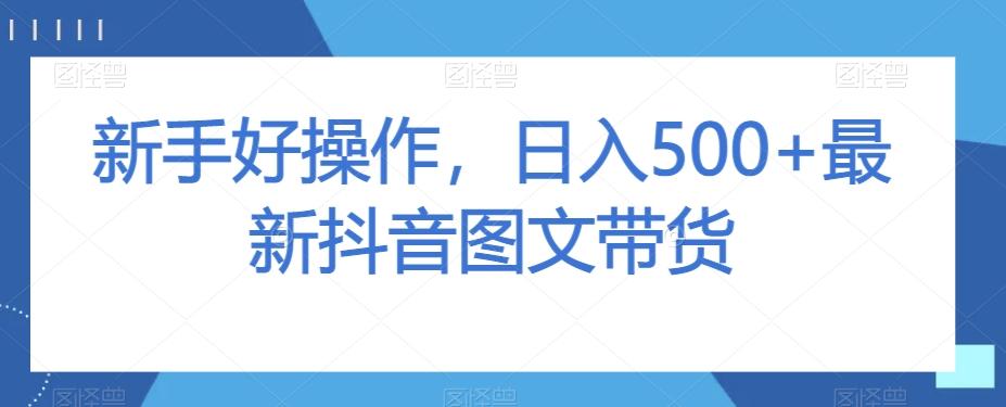 新手好操作，日入500+最新抖音图文带货【揭秘】-爱找项目网