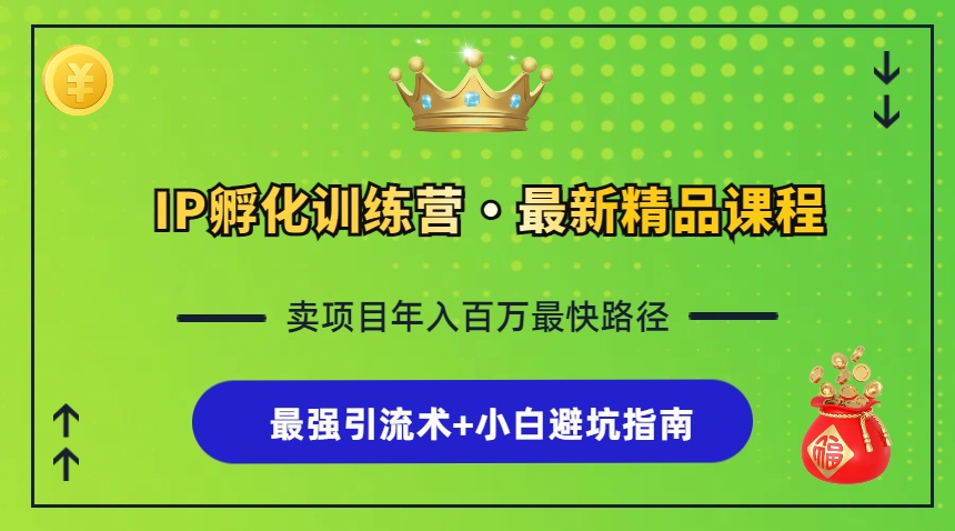 IP孵化训练营，知识付费全流程+最强引流术+小白避坑指南-爱找项目网