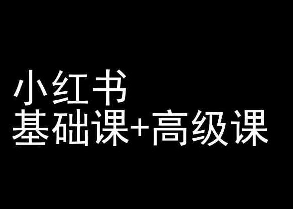 小红书基础课+高级课-小红书运营教程-爱找项目网