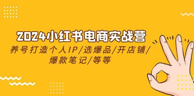 2024小红书电商实战营，养号打造IP/选爆品/开店铺/爆款笔记/等等(24节)-爱找项目网