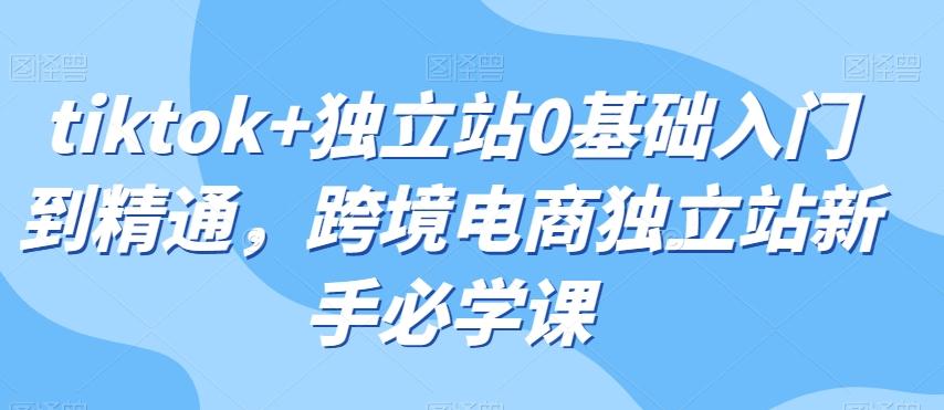 tiktok+独立站0基础入门到精通，跨境电商独立站新手必学课-爱找项目网